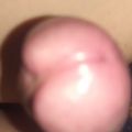 1901198