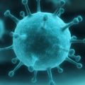 virus2020