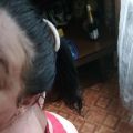 Amoralnost