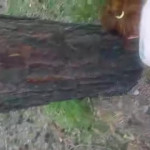 , , !